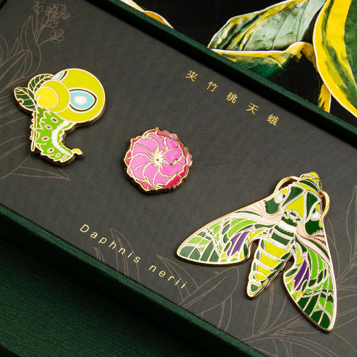博物文创|夹竹桃天蛾徽章 博物君儿子 胸针创意礼物饰品装饰 商品图2