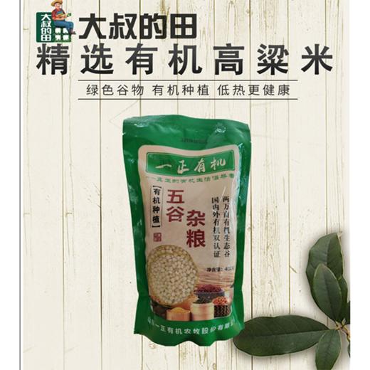 有机杂粮组合 商品图2