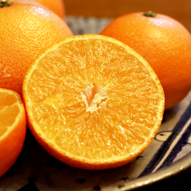 江西新余爱媛28号红美人果冻橙5/10斤包邮