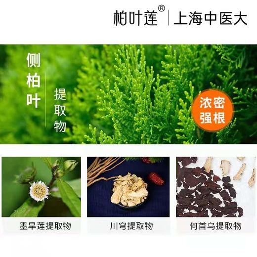 柏叶莲头皮滋养强健发质营养液100mL 商品图2