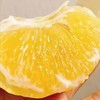 【鸡尾葡萄柚】柚子和桔子的杂交，比柚子多一丝丝的橙桔香味，肉质嫩，汁水多，（8斤装，11个左右），下单48小时内基地直发 商品缩略图1