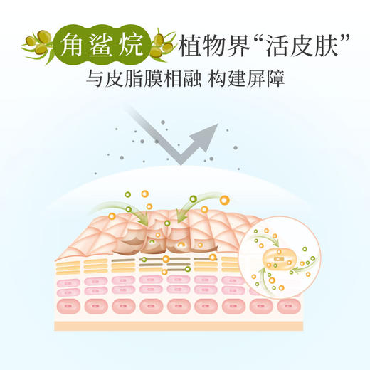 【薇娅推荐，滋润防皴】日本进口chuchu啾啾儿童面霜chuchubaby植萃角鲨烷宝宝霜婴儿面霜润肤乳露滋润保湿补水面霜 商品图4