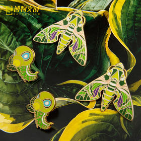 博物文创|夹竹桃天蛾徽章 博物君儿子 胸针创意礼物饰品装饰