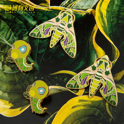 博物文创|夹竹桃天蛾徽章 博物君儿子 胸针创意礼物饰品装饰 商品图0