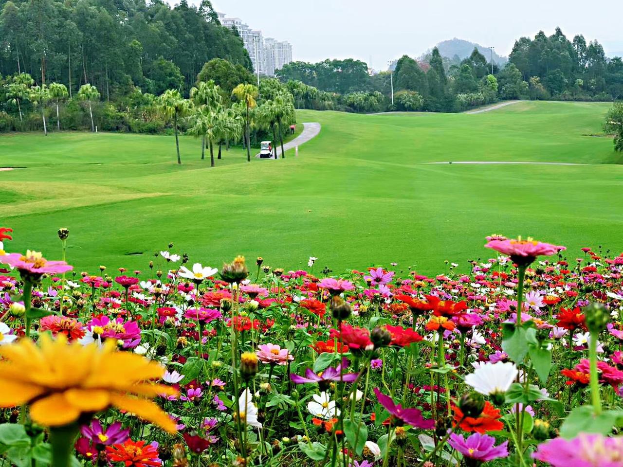 广东清远假日半岛高尔夫球会