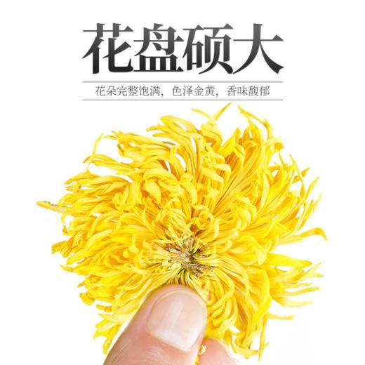 杞里香金丝皇菊20g/罐  手工挑选  朵朵饱满   清香淡雅 商品图5