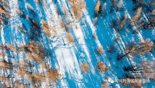 【春节·新疆可可托海】2023SPADERS 1月23日-1月29日，7天6晚 南航包机直飞富蕴！ 商品图0