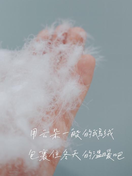 【第14团预订】会员臻享 I 高端冬季95白鹅绒被  定制款品质保障不退不换 商品图4