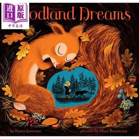 【中商原版】Marc Boutavant：Woodland Dreams 梦境丛林 精品绘本 低幼亲子故事绘本睡前读物 精装 英文原版 3-6岁