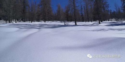 【清明·新疆可可托海】3月30-日-4月6日，8天7晚6滑 上海直飞富蕴 机票+雪票+接机4488元起！！ 商品图9