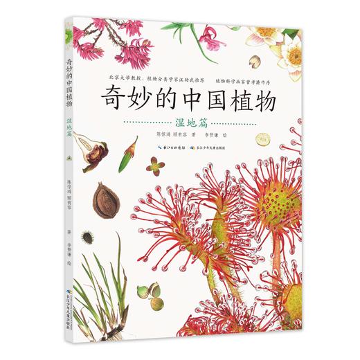 奇妙中国植物 商品图2