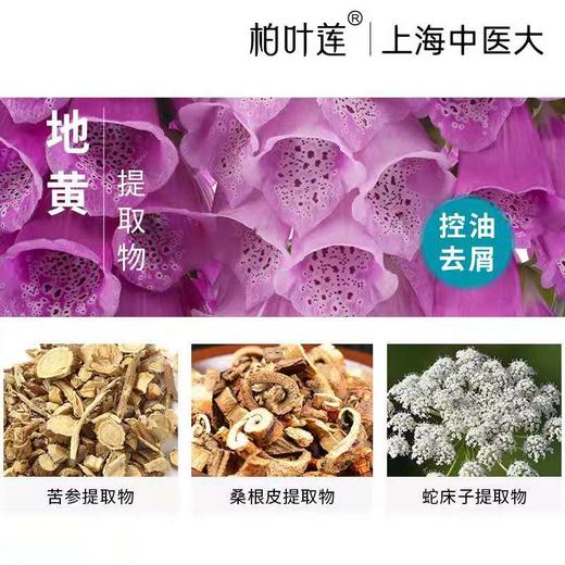 柏叶莲水漾润泽去屑净爽洗发露240mL 商品图2