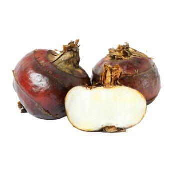 马蹄（去皮） 约500g 商品图1