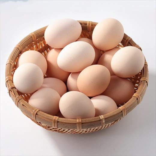 白皮鸡蛋30个/托 商品图0