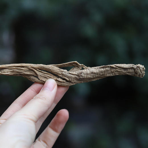 甘肃岷县野生党参黄芪、无硫岷归 商品图3