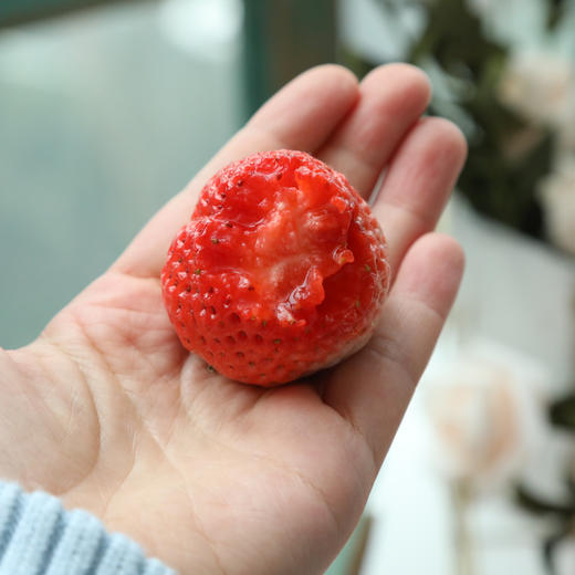 丹东东港99红颜草莓只采头茬果现摘现发限量供应顺丰空运运费包邮 商品图6