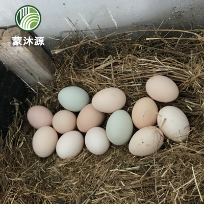 五彩鸡蛋30枚快递装【产地直发】到货尽快取出！