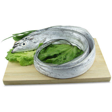 新鲜舟山小眼带鱼（5斤/箱）单条长60-65cm 中段宽4-5cm 商品图0