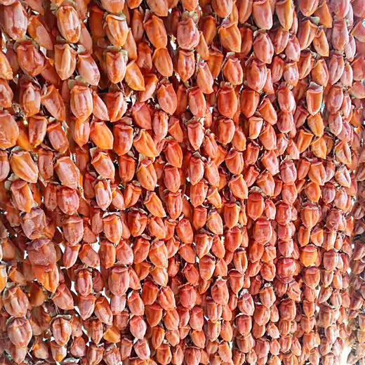 【陕西特产】正宗富平柿饼国家地理标识产品   软糯香甜 自然霜降 果肉厚大 营养丰富 商品图3