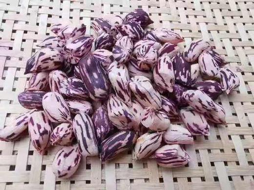 ｜生态｜七彩花生及花生米 黑花生 彩花生 商品图3