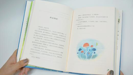 【读书会】《万物的钥匙 》《绿山谷》 《外婆的蕾丝宫殿 》《一个叫王子的男孩》（快乐长大系列） 商品图6