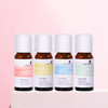 茶树/葡萄柚/尤加利/迷迭香单方精油（10ml/支） 商品缩略图0