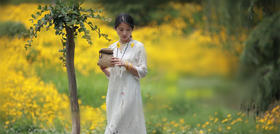 延伸│人若有三宝，风-水便好！