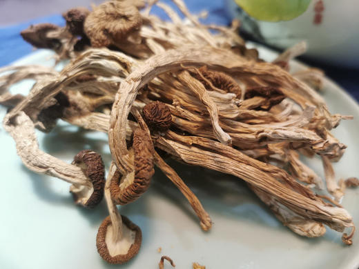 *养生季*信洲有机菌/有机银耳/香菇/木耳/茶树菇/鸡腿菇/猴头菇（欧盟/中国双认证） 商品图4