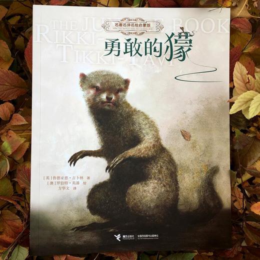 勇敢的獴 商品图1