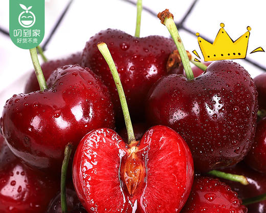 【当季叼果】智利santina车厘子（JD级）/1份（约2.5kg） 商品图5