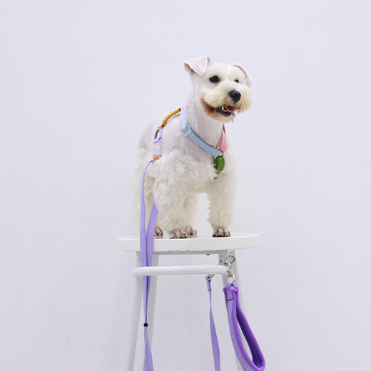 Tinklylife  彩虹系列 专业牵引绳 商品图4