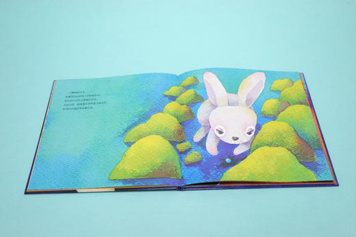 幸福的小河马·杉田丰经典绘本 真正的宝物 商品图3