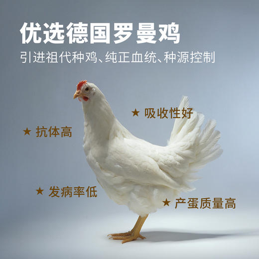 圣迪乐&Omega-3儿童营养鲜鸡蛋     40枚 商品图3