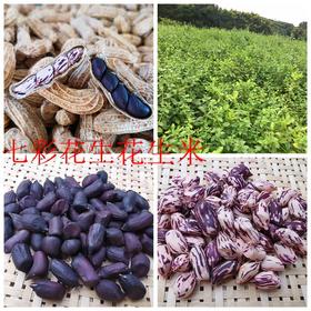 ｜生态｜七彩花生及花生米 黑花生 彩花生