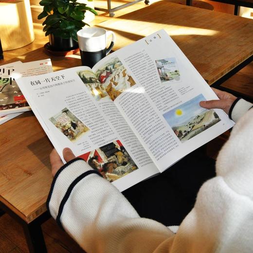 《画里话外》（全三册）国内极具开创性的图画书研究MOOK，汇集中法美三国学者研究力，以“儿童的想象”“叙事”“颜色与儿童的感觉”为主题，解码图画书创编读 商品图3