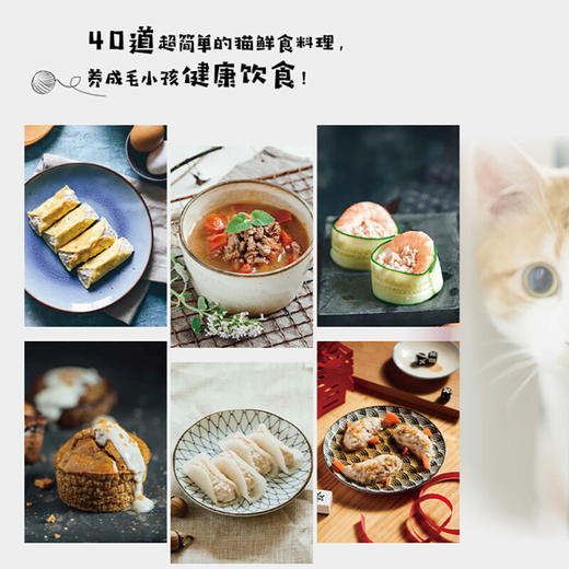 新书预售 猫咪的健康吃出来 40道猫与猫奴都能吃的鲜食料理 商品图3