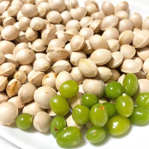 JA爱知县祖父江ぎんなん银杏果/白果，老餮不可错过的食材，烹饪好是难得的好味道，有了它，日料增色，完美的前菜 商品图6