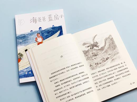 【读书会】《万物的钥匙 》《绿山谷》 《外婆的蕾丝宫殿 》《一个叫王子的男孩》（快乐长大系列） 商品图5