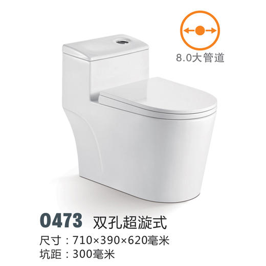 SQ：0473双孔超漩式8.0大管道 商品图2