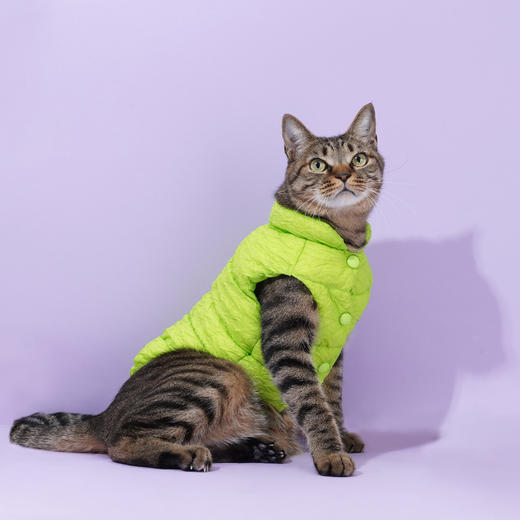 zeze宠物羽绒服-B 商品图3