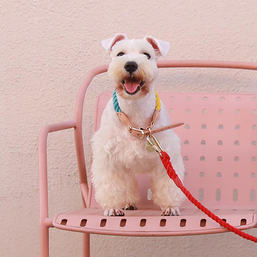 Tinklylife RAINBOW系列真皮拼绳彩虹项圈 商品图4