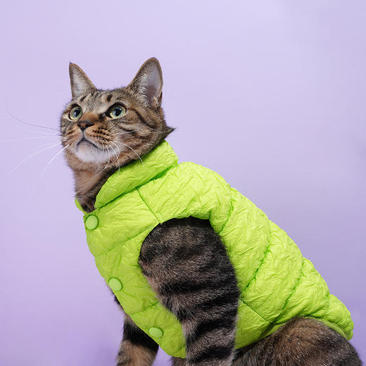 zeze宠物羽绒服-B 商品图2