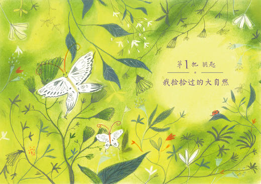 【读书会】《万物的钥匙 》《绿山谷》 《外婆的蕾丝宫殿 》《一个叫王子的男孩》（快乐长大系列） 商品图7