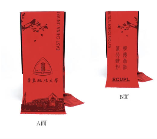 华政专版定制版围巾 商品图0