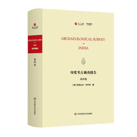 印度考古调查报告 第四卷 Archaeological Survey of India 印度历史 印度考古 正版 华东师范大学出版社