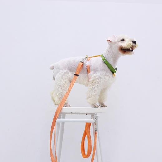 Tinklylife 彩虹系列工字型胸背带 商品图5