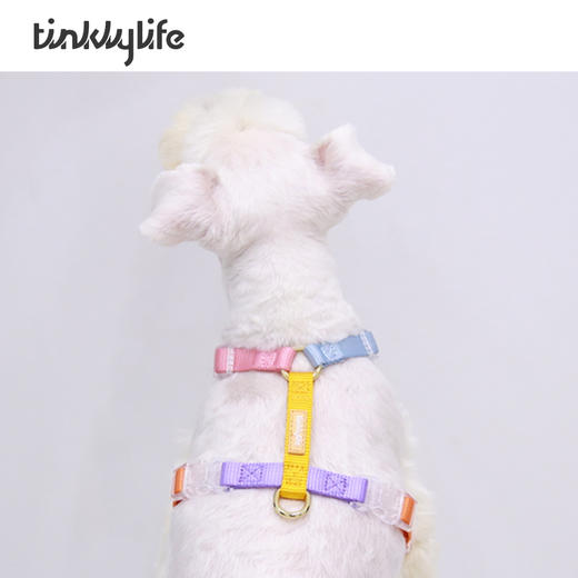 Tinklylife 彩虹系列工字型胸背带 商品图4