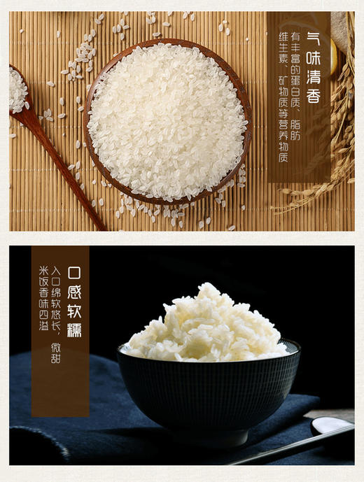 五常大米|长粒香|稻花香|有机稻花香 商品图0