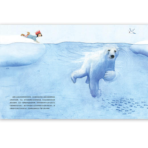 海豚绘本花园·科普系列：北极熊（精装）点读版（[美]詹妮·德斯蒙德) 商品图1