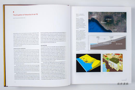 Buried by Vesuvius: The Villa dei Papiri at Herculaneum /被维苏威火山掩埋：赫库兰尼姆的帕皮里别墅 商品图4